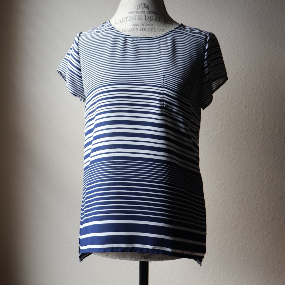 The Limited Blue Striped Shirt